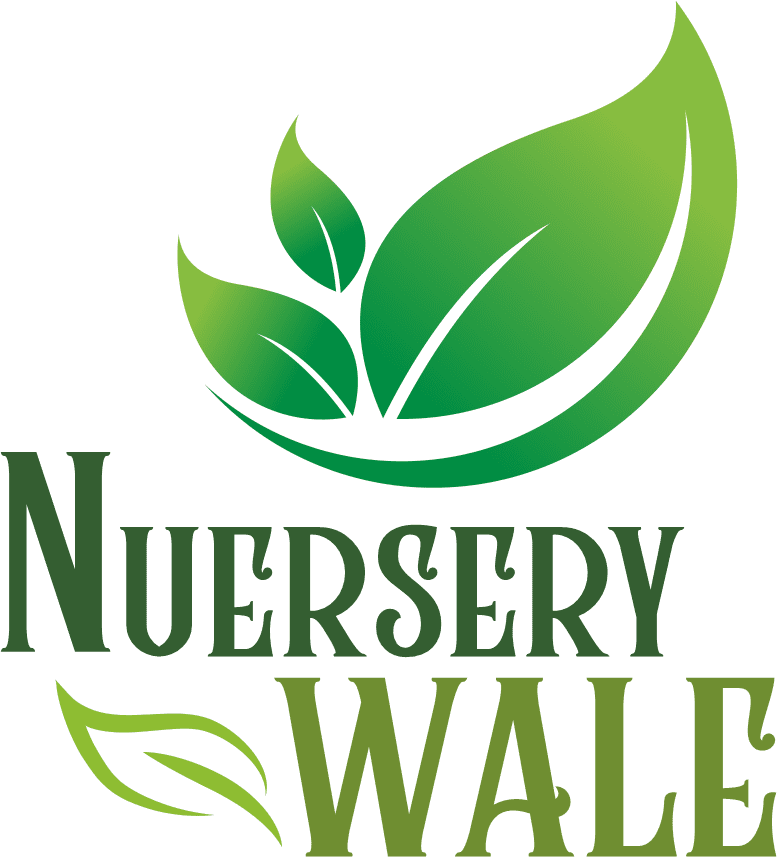 Nurserywale Logo